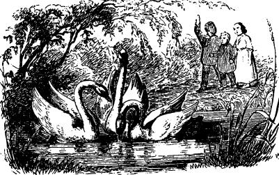 The Ugly Duckling, A Danish Fairy Tale by Hans Christian Anderson - HubPages